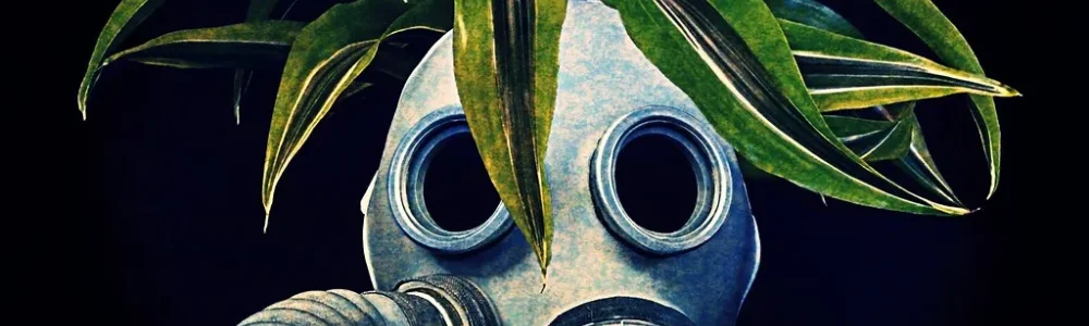 Điểm tin AI: Rủi ro, ứng dụng y tế và công cụ mới