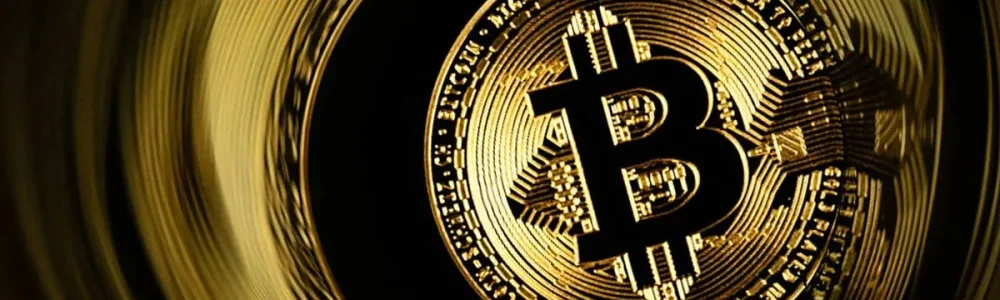 'Cá voi' và 'cá mập' đang gom Bitcoin