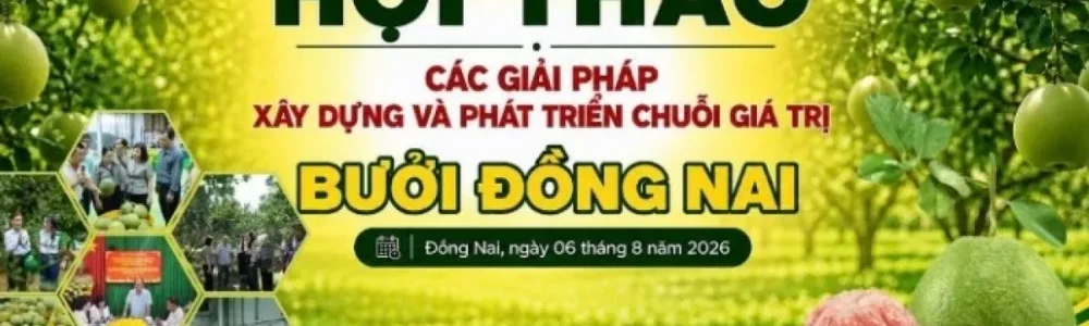Đồng Nai: Tăng tốc xây dựng chuỗi giá trị bưởi bằng liên kết 4 nhà, chuyển đổi số và trí tuệ nhân tạo