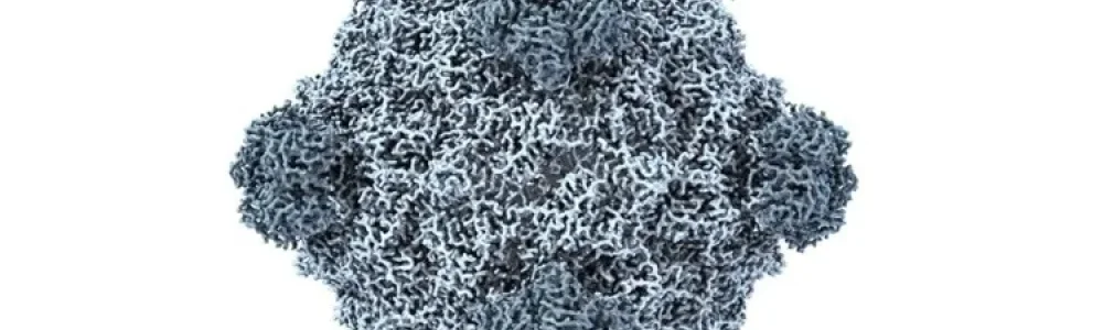 AI tạo ra 16 loại virus chưa từng có trong tự nhiên
