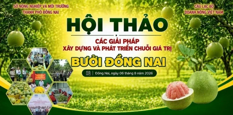 Đồng Nai: Tăng tốc xây dựng chuỗi giá trị bưởi bằng liên kết 4 nhà, chuyển đổi số và trí tuệ nhân tạo