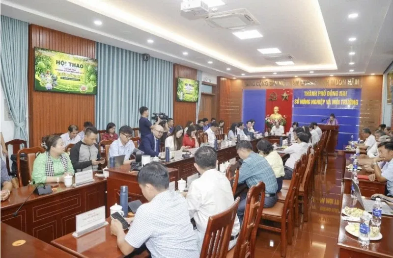 Đồng Nai: Tăng tốc xây dựng chuỗi giá trị bưởi bằng liên kết 4 nhà, chuyển đổi số và trí tuệ nhân tạo