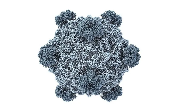 Mô phỏng một virus tạo bởi mô hình AI. Ảnh: Samuel King