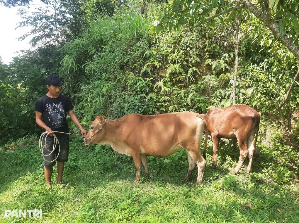 Người đàn ông viết tiếp cuộc đời sau hành trình giành lại sự sống - 5