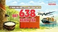 Xuất khẩu cao su 6 tháng đạt 1,22 tỉ USD, thị trường Trung Quốc dẫn đầu
